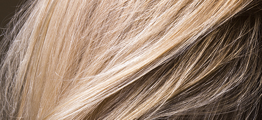 La-Biosthetique-Colorationen